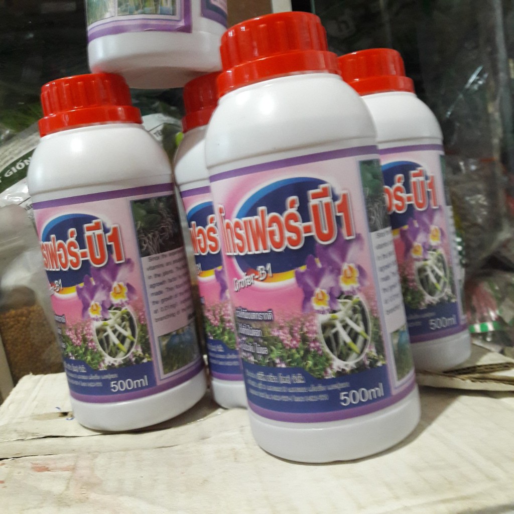 [Vật Tư Hoa Lan] B1 Thái Lan (500ml) Kích thích sinh trưởng cho Hoa Lan