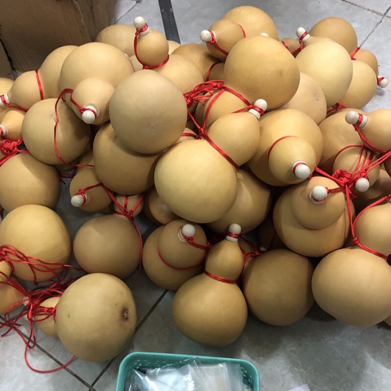 Quả Bầu Hồ Lô treo phong thuỷ, có nắp đậy kín( đựng nước được) nha.