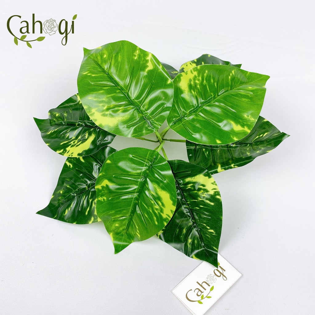 Cây Giả - Cây Trầu Bà Đốm