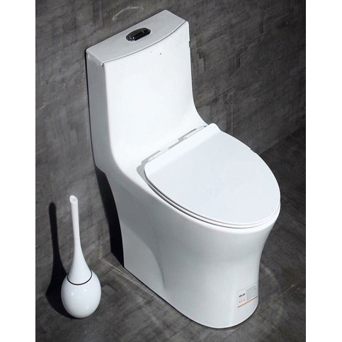 Bệt Vệ Sinh 2102