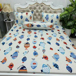 Bộ Drap Thun Hàn Quốc