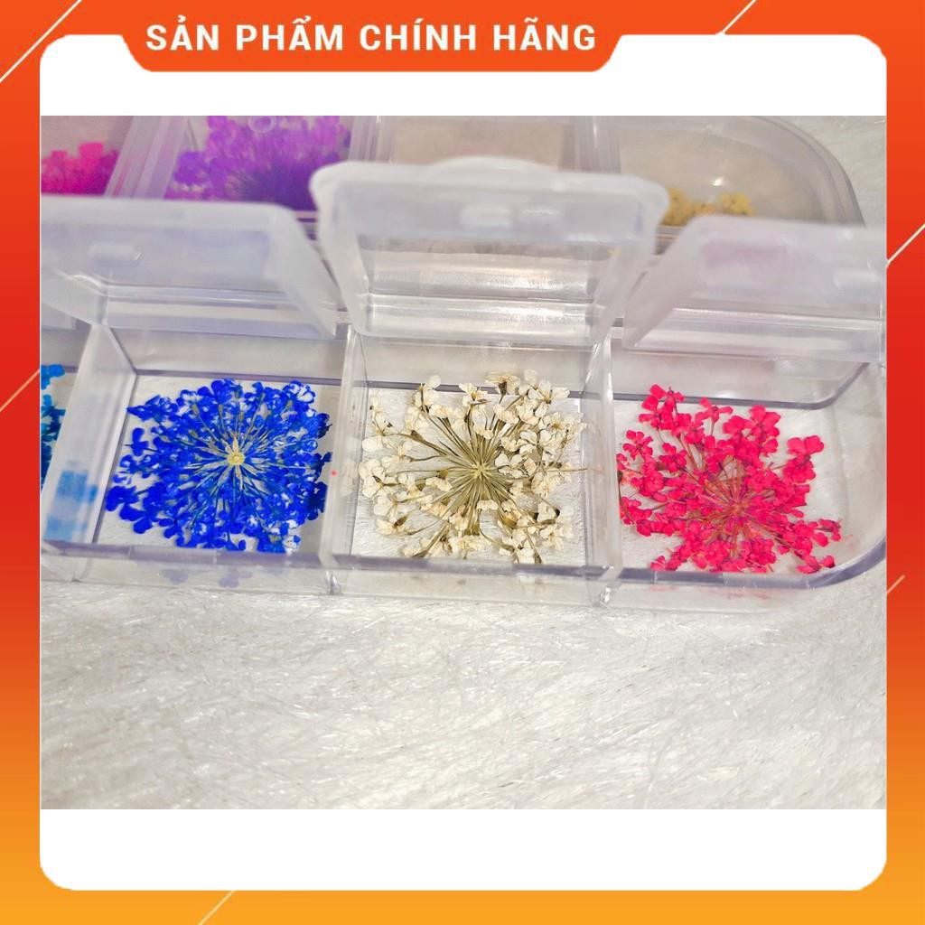 Set Hoa Khô Chùm Trang Trí Nail 12 Màu - Set Hoa Khô Chùm Trang Trí