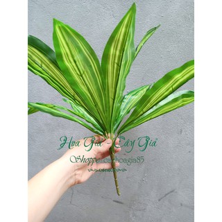 Cây giả - cây Lá Kẻ Hoàng Hậu