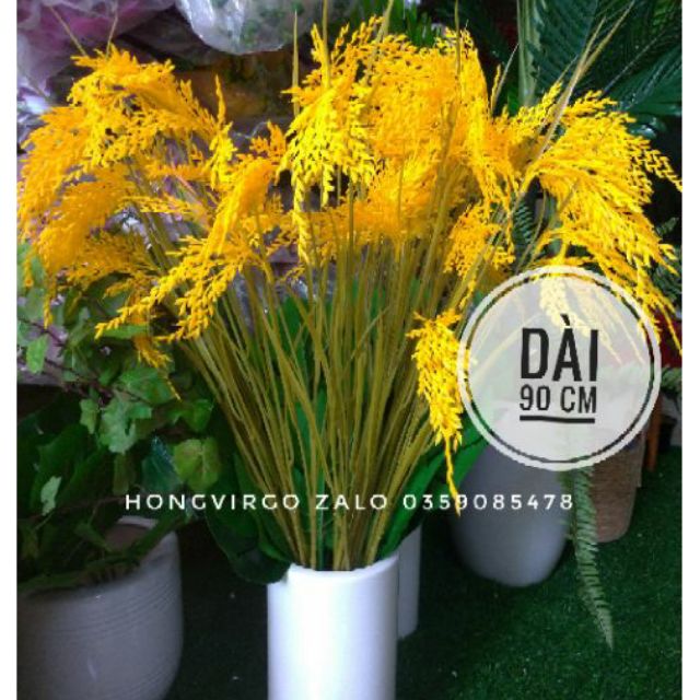 👉 Bông Lúa Giả Dài 90cm trang trí