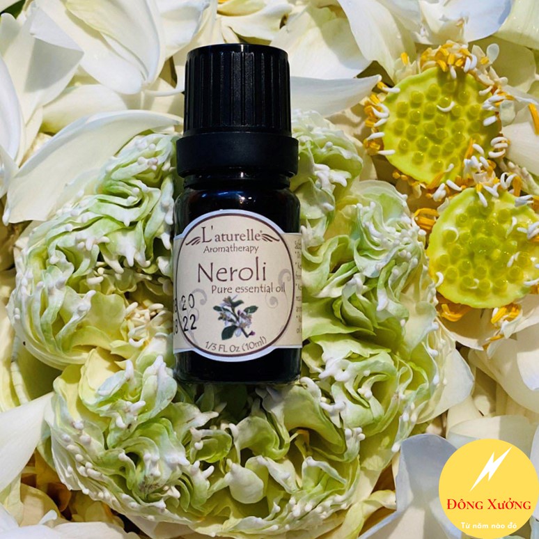 Tinh dầu Hoa Cam L'ATURELLE [Natural Oils] - Ngọt, ấm "chắc" 10ml