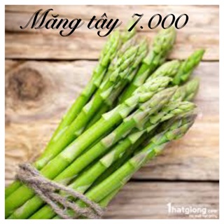 Hạt giống Măng Tây Xanh 636 (20 hạt)