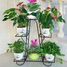 kệ cây cảnh, chậu hoa 6 tầng bằng thép sơn tĩnh điện