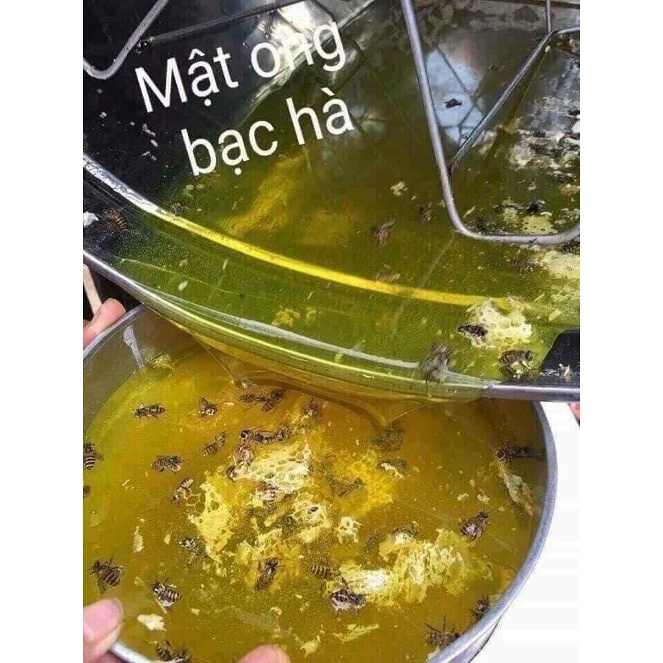 Mật Ong Bạc Hà - Hà Giang, Đồng Văn - Nguyên chất 100%