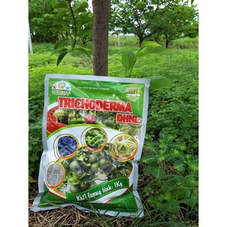 Chế phẩm vi sinh nấm đối kháng trichoderma đhnl gói 1kg