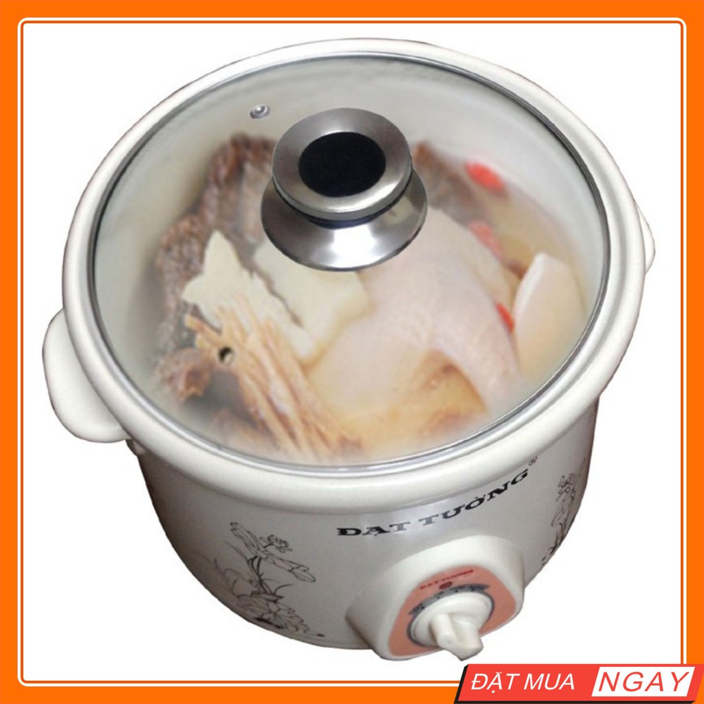 Nồi Kho Cá Điện Đạt Tường (2,5 L) – Nồi Hầm Cháo Chậm Đa Năng Chính Hãng Giữ Nhiệt Cực Tốt