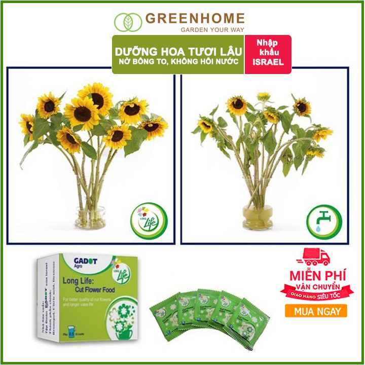 30 gói Dưỡng hoa lâu tàn Long Life, gói 5gr, hoa tươi lâu, nở bông to, không bị hôi nước |Greenhome