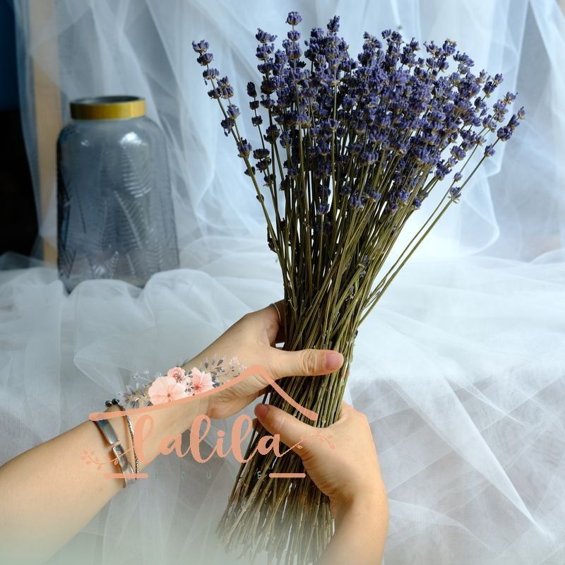 Hoa khô Oải hương_Lavender ❤️FREESHIP❤️ Decor phòng_Hoa khô trang trí Pháp