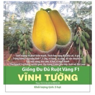 Hạt giống đu đủ ruột vàng vĩnh tường