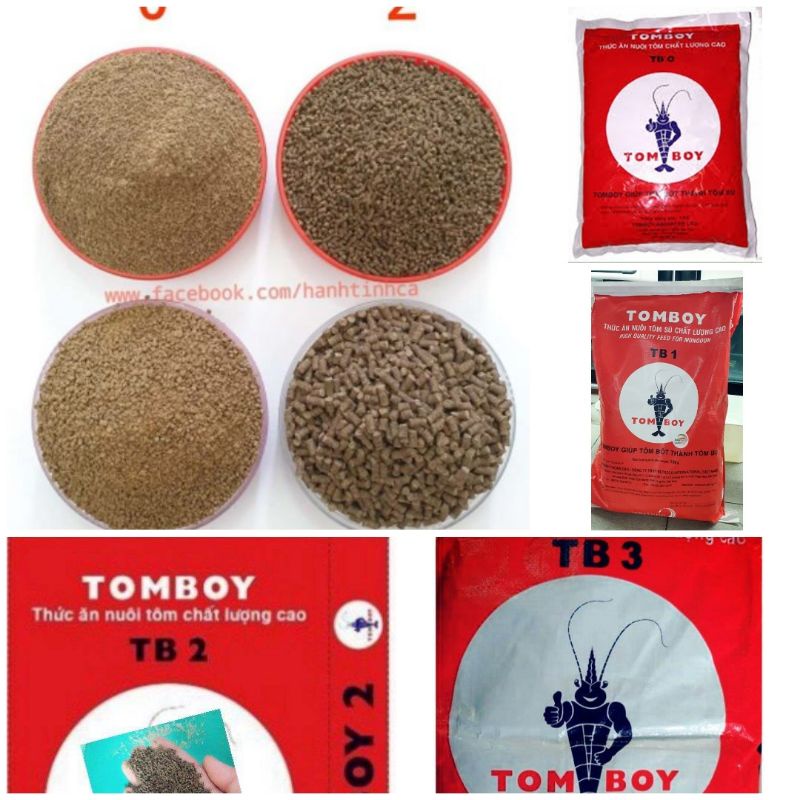 Cám tomboy hàng chuẩn loại 1- chuyên dùng cjo tom giống cá cảnh các loại