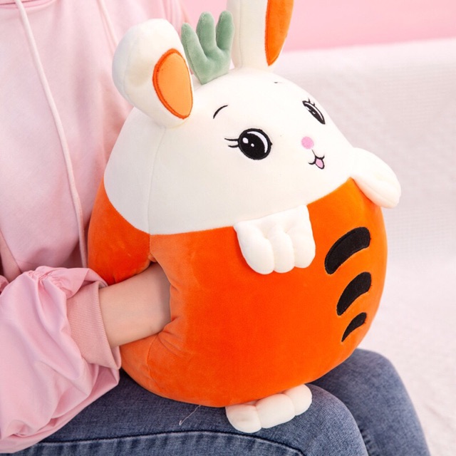 Gối Kèm Chăn 2in1 Hình Thú Ngộ Nghĩnh