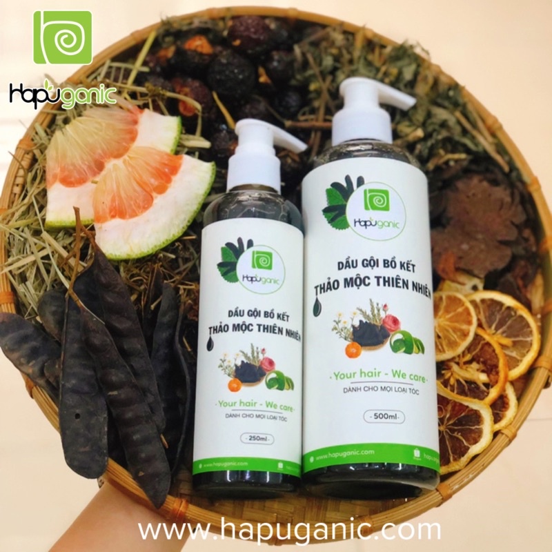 Dầu gội Bồ Kết Thảo Mộc Giảm Rụng Tóc HaPu Organic 100ml