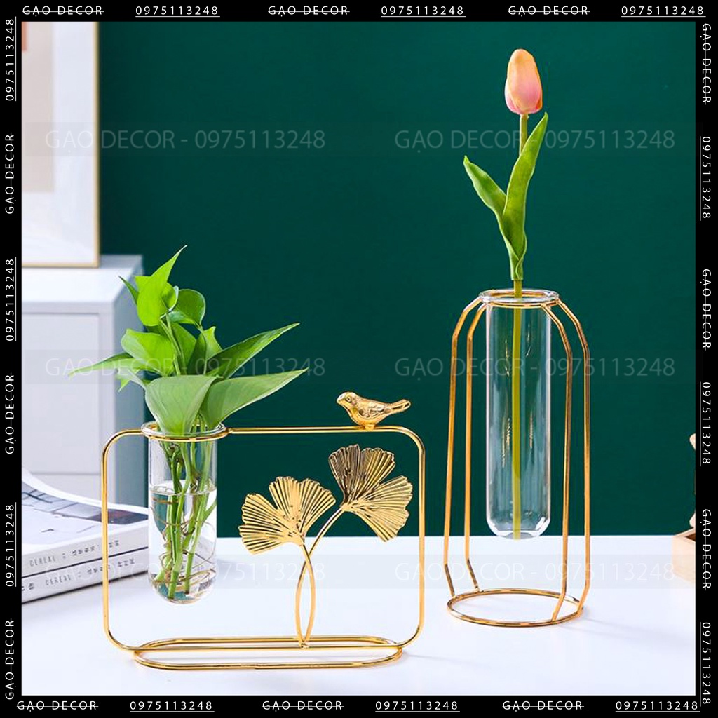 [Gạo Decor] - Lọ hoa thủy tinh khung thép - Đơn giản - Hiện đại - Trang trí tết 2024