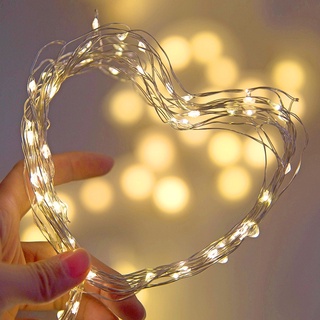 Dây đèn led fairy dùng pin 3m dd01