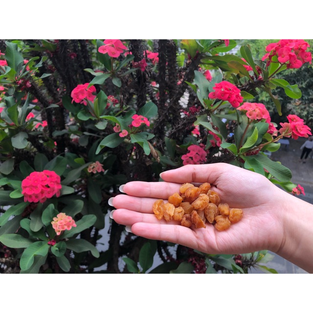 Long Nhãn Khô - 500gr