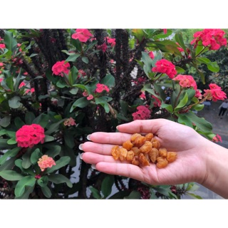 Long nhãn khô - 500gr