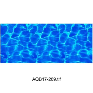 Decal 3D dán bể cá