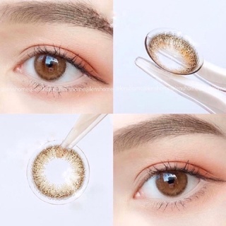 Lens nâu tự nhiên dòng cao cấp Hàn Quốc / tặng khay gương khi mua