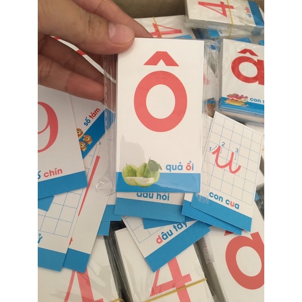 Combo 10 Bộ thẻ Flashcard Thông Minh Học Chữ Cái Và Số Đếm Cho Bé