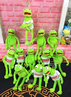 Ếch kermit nhồi bông 77k