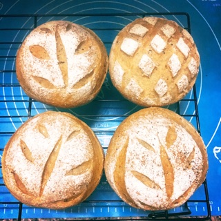 Set bánh mì nguyên cám