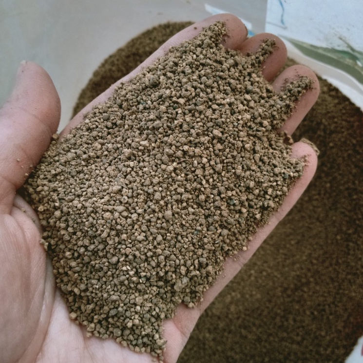 Đất nung Akadama Nhật Bản, kích thước hạt (1-3mm), Đất nung trồng sen đá