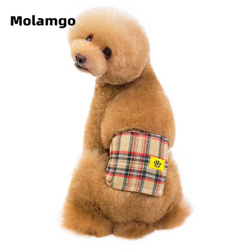 Quần lót sinh lý chống rối cho thú cưng