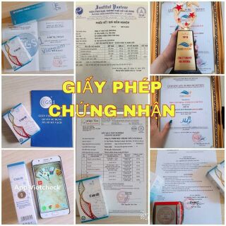 TẾ BÀO GỐC GINSENOSIDE HUGI