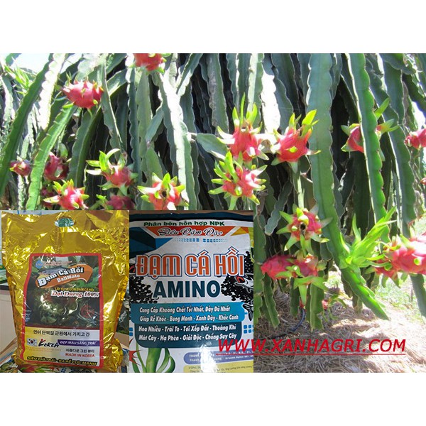 Phân bón Đạm cá hồi Amino humic, vi lượng túi 10kg hình đầu tiên