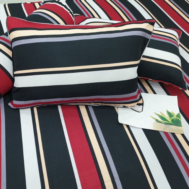 Bộ Drap Thun Thái Lan 4 món