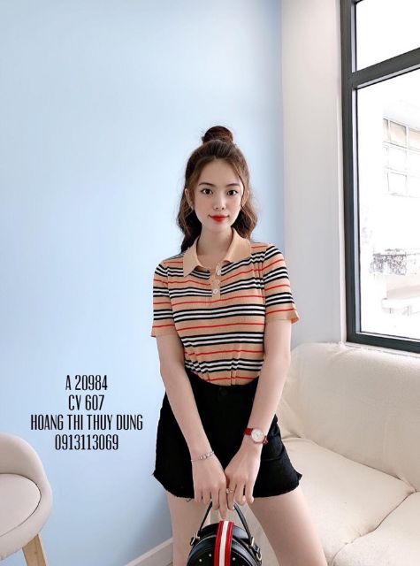 Áo len montoghi kẻ cổ bẻ hàng Quảng Châu - Áo cổ bẻ kẻ hót