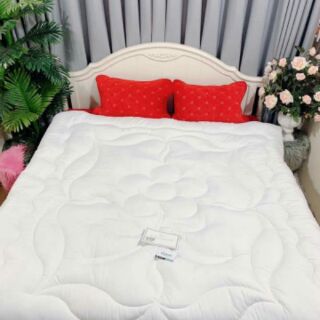 Ruột chăn (mền) cao cấp