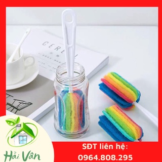 Cây cọ cốc chén 7 màu