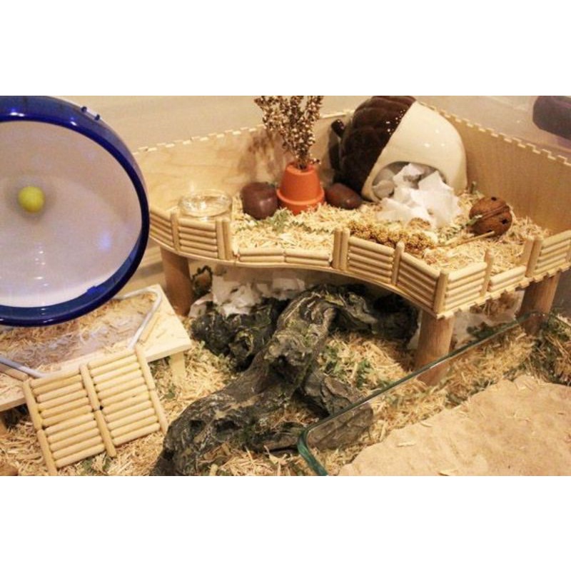 Chốt gỗ decor chuồng hamster, lồng hamster kích thước 8*40mm