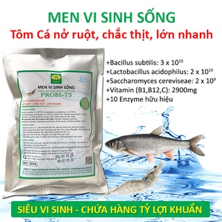 Men vi sinh sống vỗ béo Tôm Cá. Nở ruột, chắc thịt, lớn nhanh. Chứa hàng tỷ lợi khuẩn. Ngăn ngừa các bệnh về đường ruột