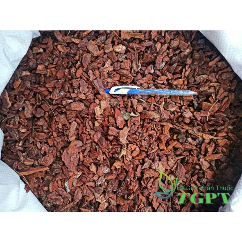 Vỏ Thông Dạng Hạt Ngô/Bắp Túi 1kg