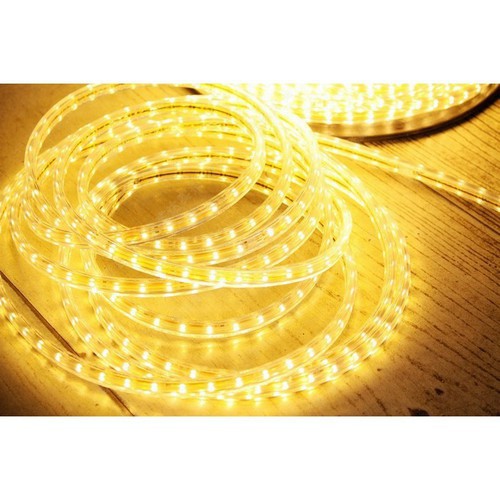 Led dây 2835 - 2 hàng bóng