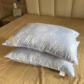 ĐÔI RUỘT GỐI CAO CẤP EVIKO HÚT CHÂN KHÔNG