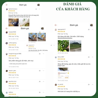 Dây khổ qua rừng ( mướp đắng rừng )