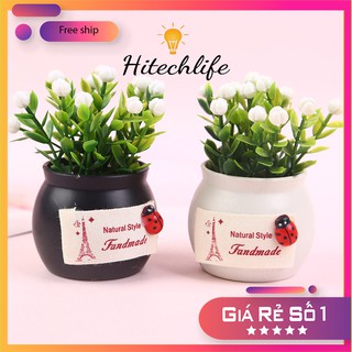 Chậu Cây Xanh Mini Hàng Cao Cấp Trang Trí Taplo Xe Hơi,  Bàn Làm Việc, Phòng Khách- Chậu Hoa Trang Trí Taplo Oto