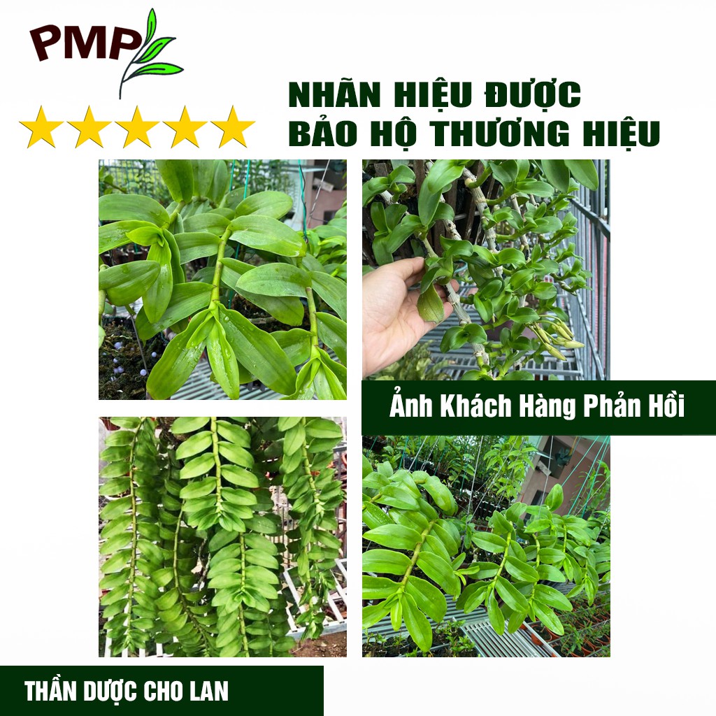 [Tặng Coisicin Gây Đột Biến Lan] Dịch Chuối Humic PMP Vi Sinh Công Nghệ Mỹ Chuyên Dùng Cho Hoa Lan, Rau Sạch 1000ml