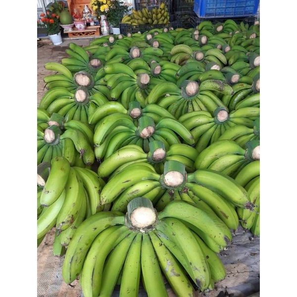 Chuối Đà Lạt, Laba dẻo, ngọt, thơm, sạch