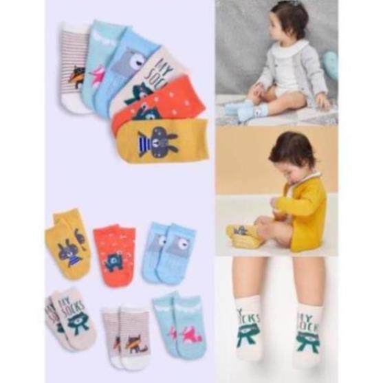 Set 5 Đôi Tất Pony Kid Chống Trượt,.