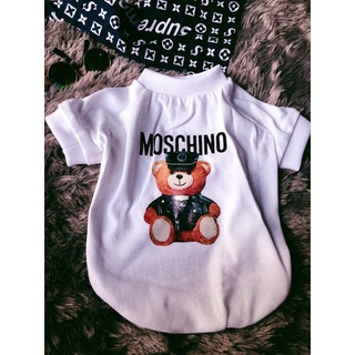 Áo thun moschino gấu dễ thương cho thú cưng chó mèo