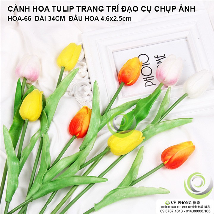 CÀNH BÔNG HOA TULIP DECOR NHÀ CỬA PHÒNG KHÁCH TRANG TRÍ CHỤP ẢNH SẢN PHẨM INS ĐẠO CỤ CHỤP HÌNH HOA-66