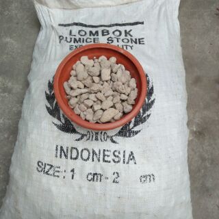 1kg đá núi lửa Indonesia Trồng Hoa Lan